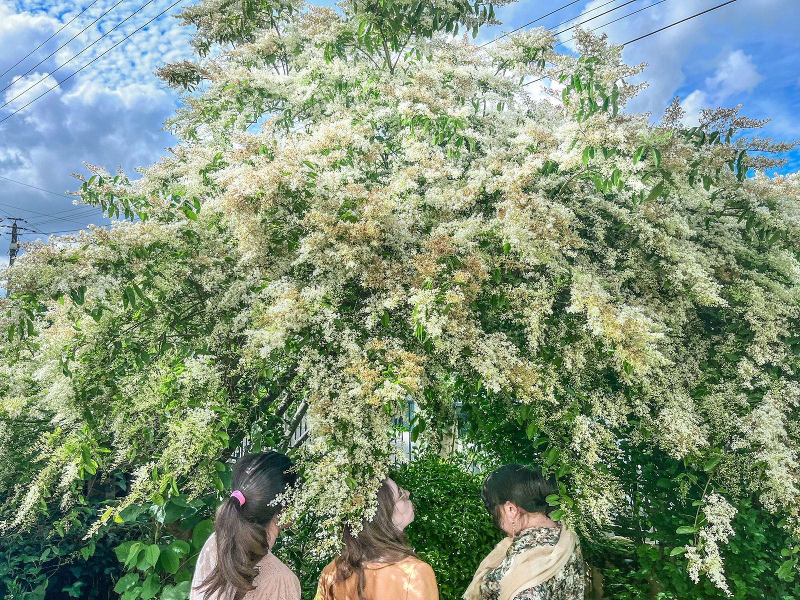 Entre printemps et été