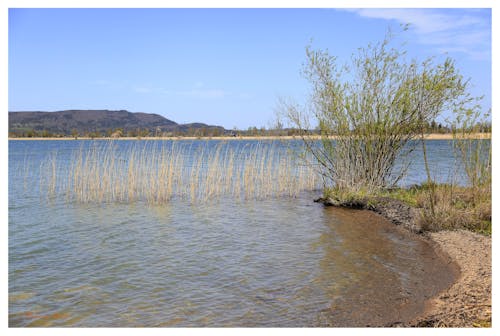 göl içeren Ücretsiz stok fotoğraf