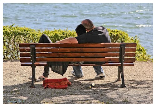 park bankı içeren Ücretsiz stok fotoğraf