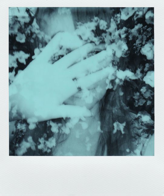 Surreal image of a woman obscured by flowers with a double exposure technique.