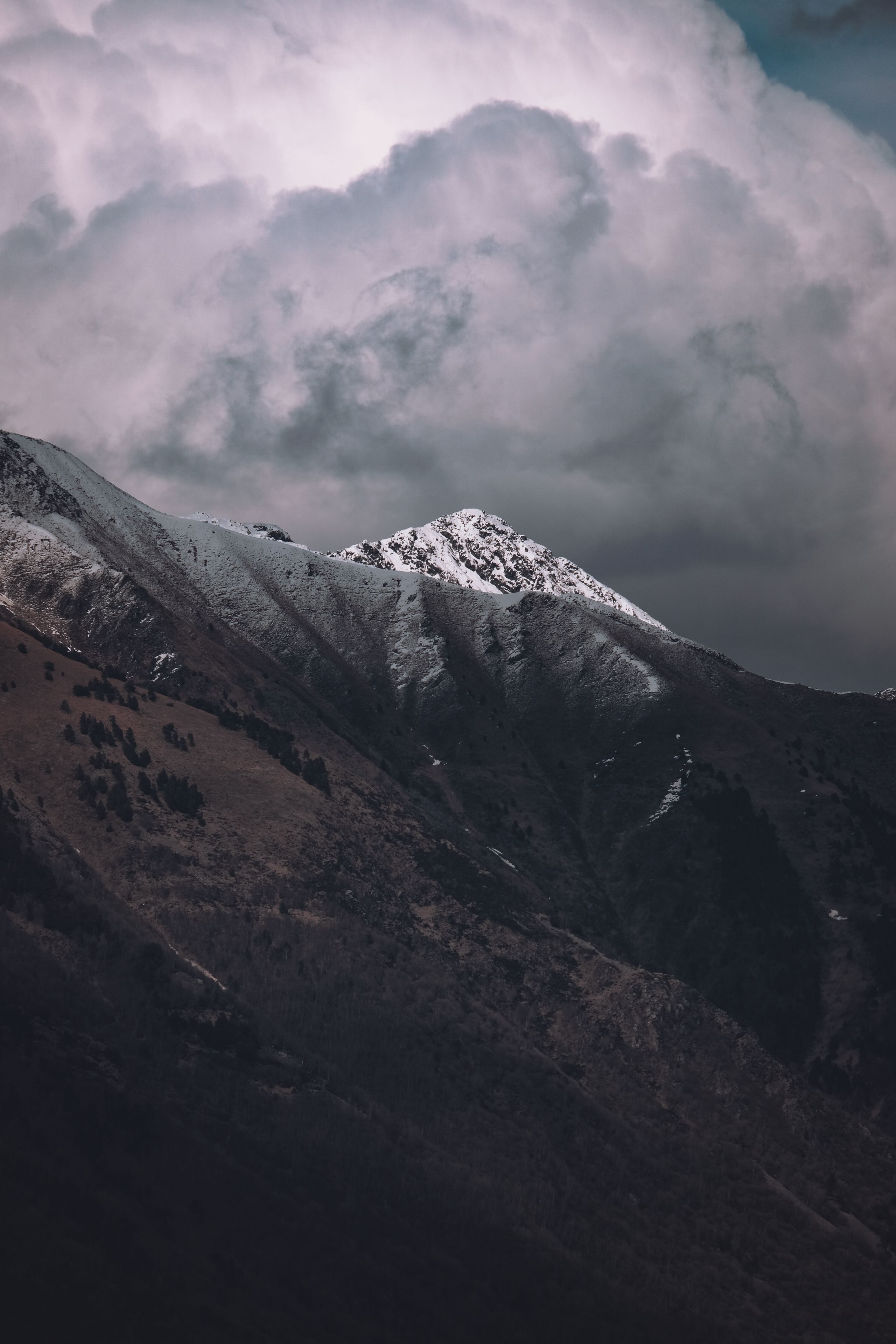 Majestic snow