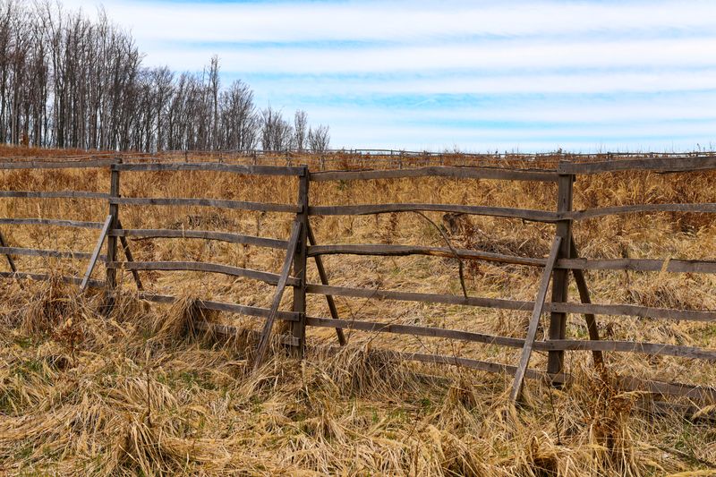 Brush removal along a rural fence line in Mississippi
