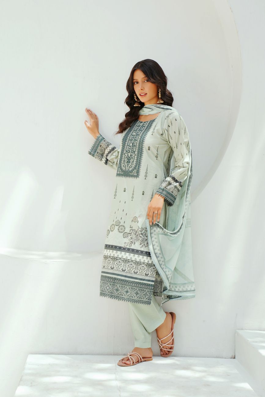 Stylish Pakistani Embroidered Traditional Salwar Kameez