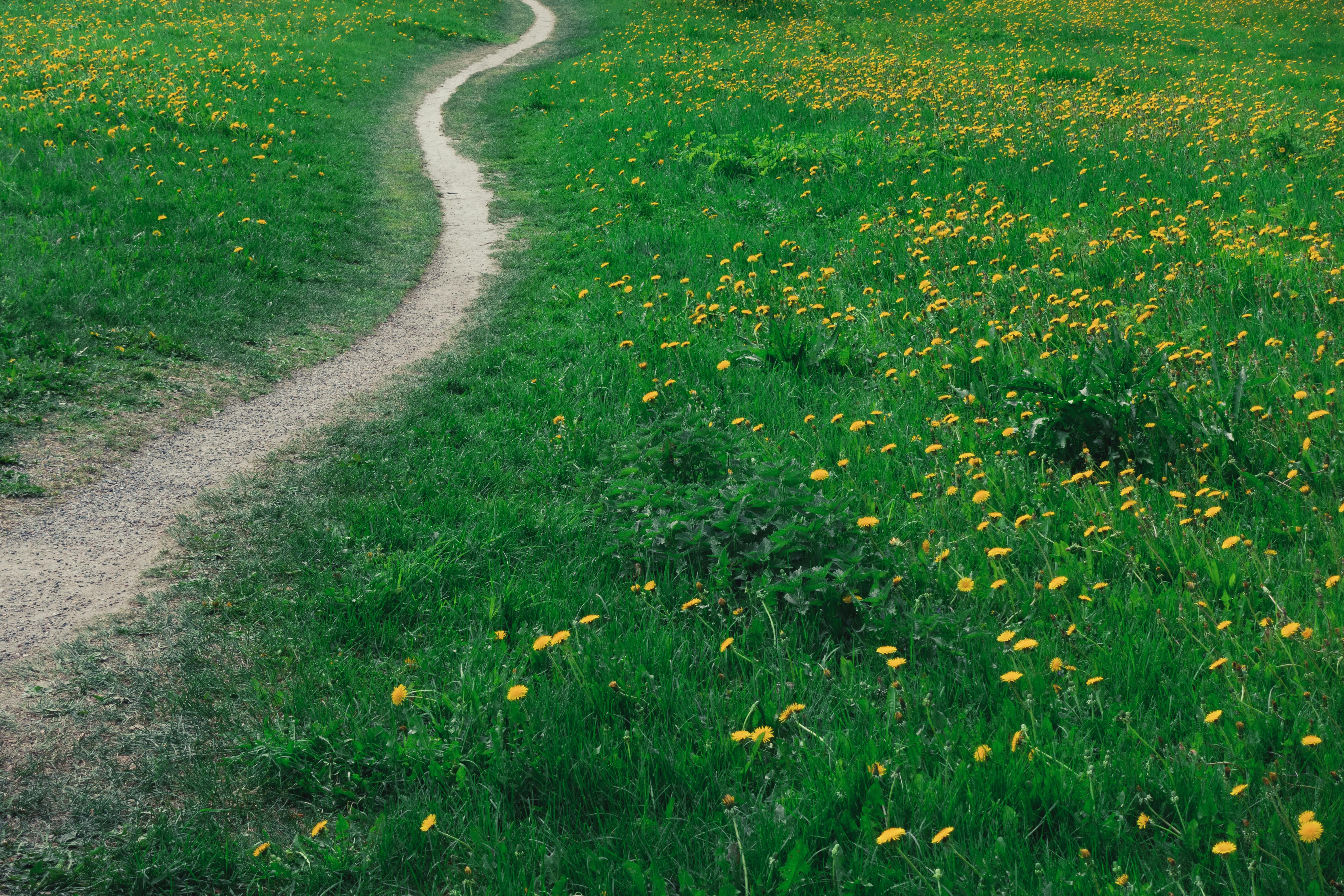 바이럴제작업체0
