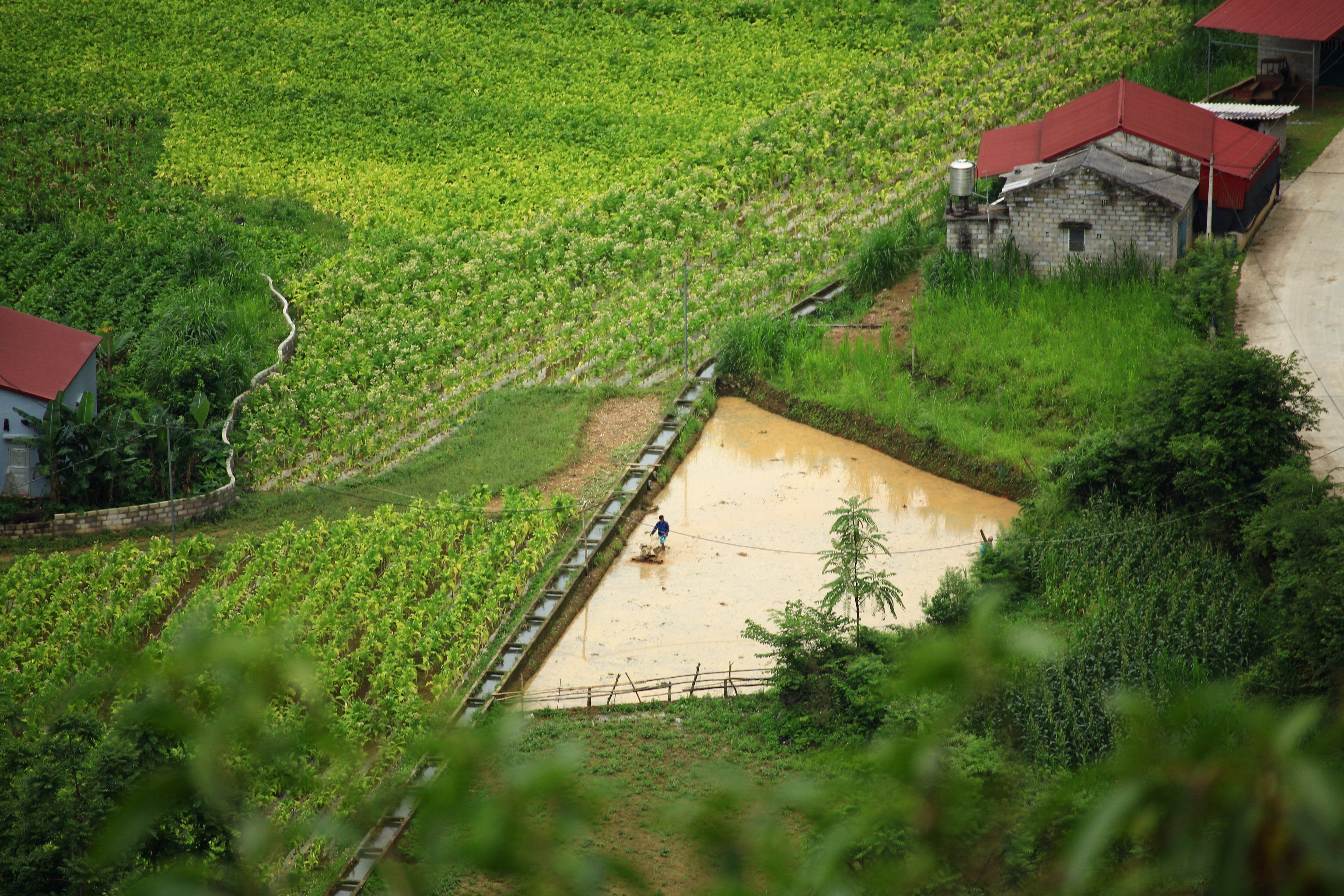 Stream Among Fields · Free Stock Photo