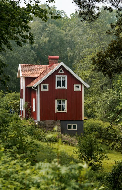 Ingyenes stockfotó ablak, bungaló, család témában