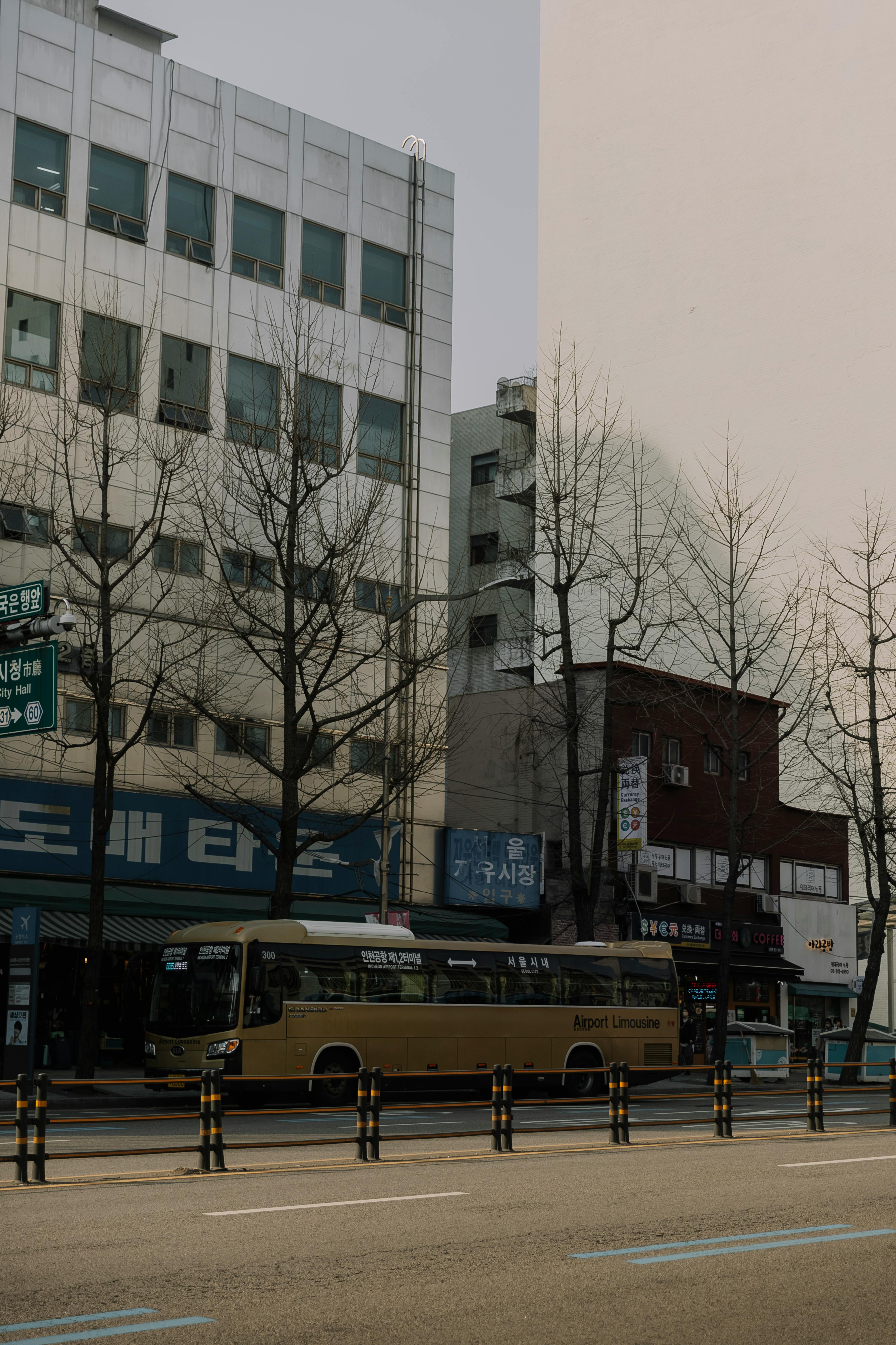 bus on street near building