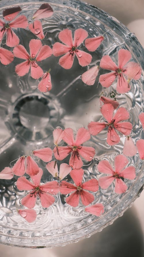 A glass with pink flowers in it
