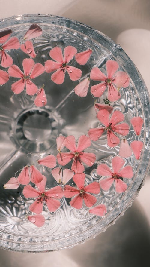 A glass bowl with pink flowers in it