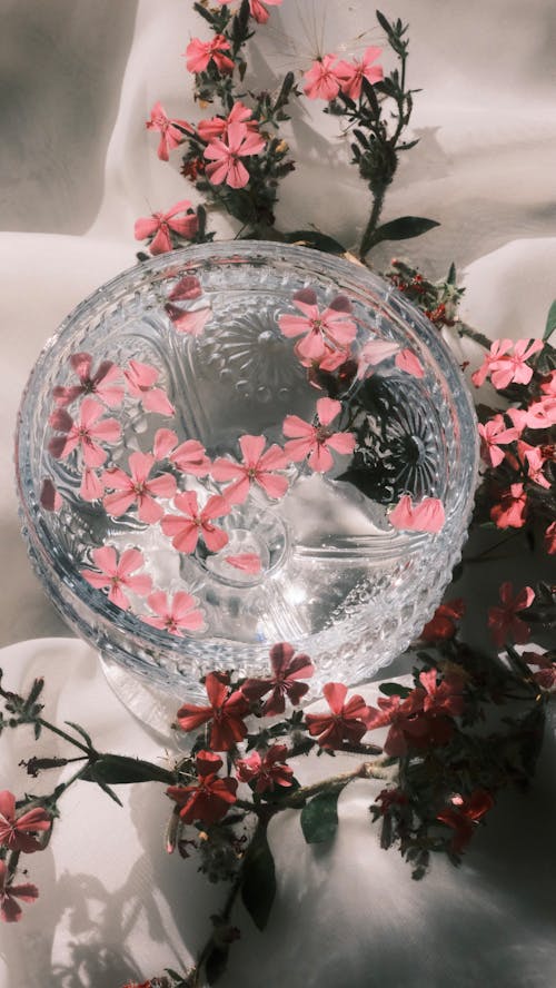 A glass of water with pink flowers on it