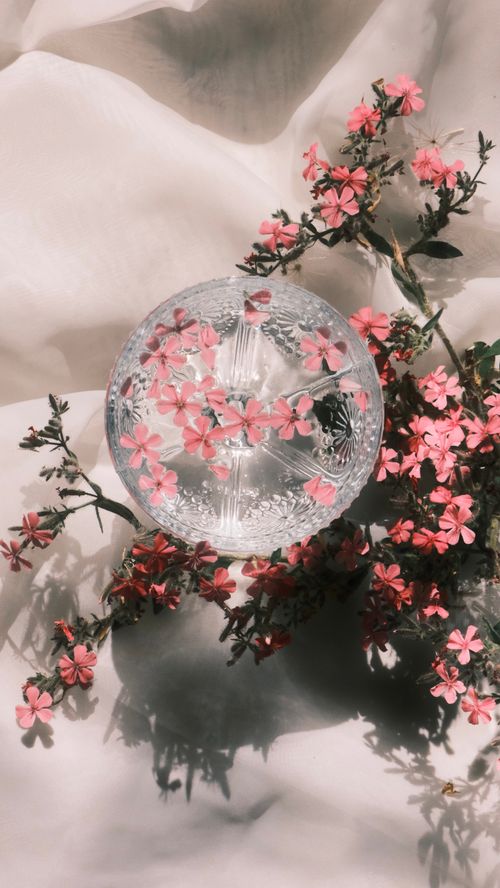 Free Artistic arrangement of pink flowers and branches in glass vase on fabric background. Stock Photo