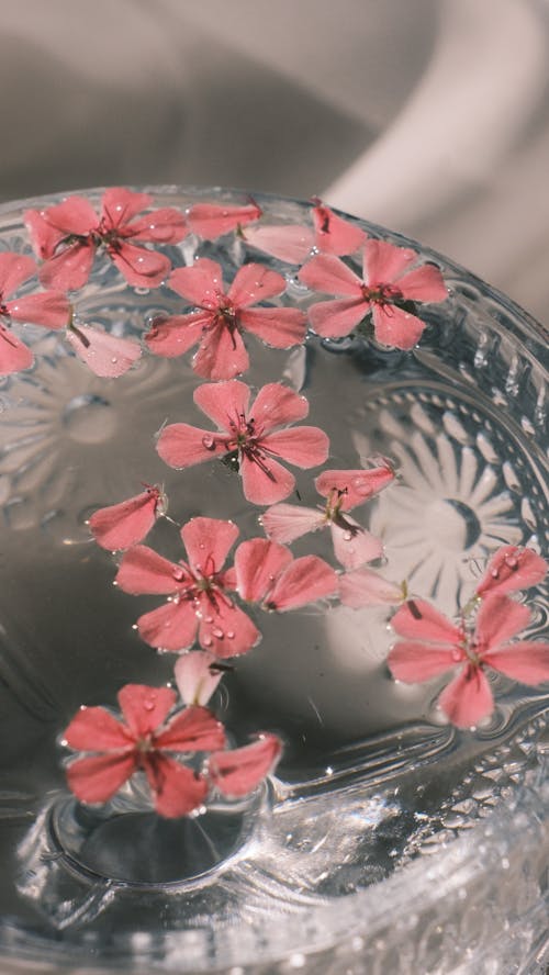 A glass bowl with pink flowers floating in it