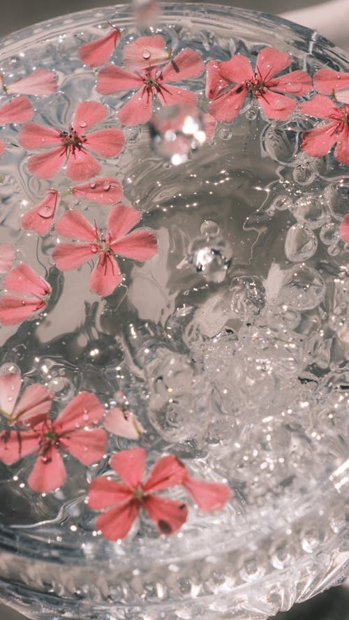 A glass of water with pink flowers floating in it