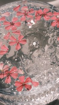 Delicate pink flowers floating gracefully in shimmering water, creating a serene and elegant atmosphere.