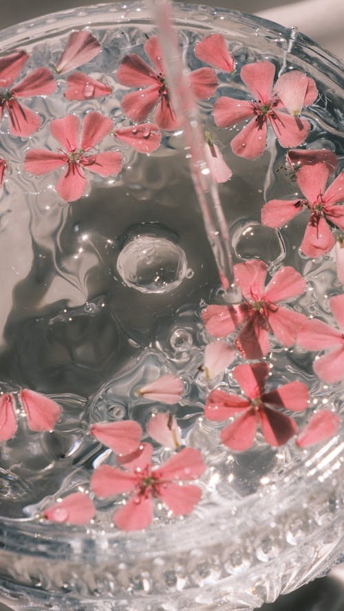 A glass filled with water with pink flowers