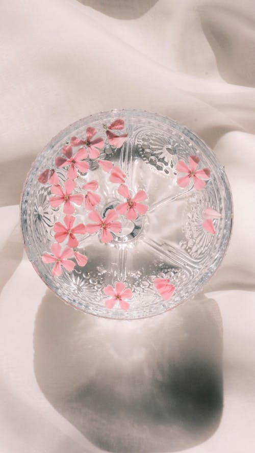 겨울, 꽃, 둥글다의 무료 스톡 사진