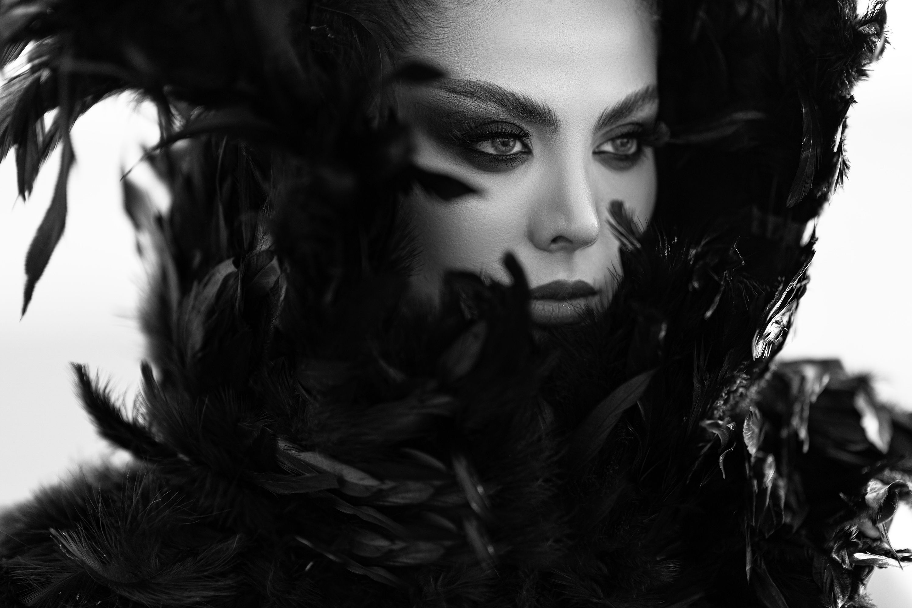 Portrait of Woman with Feathers in Black and White · Free Stock Photo