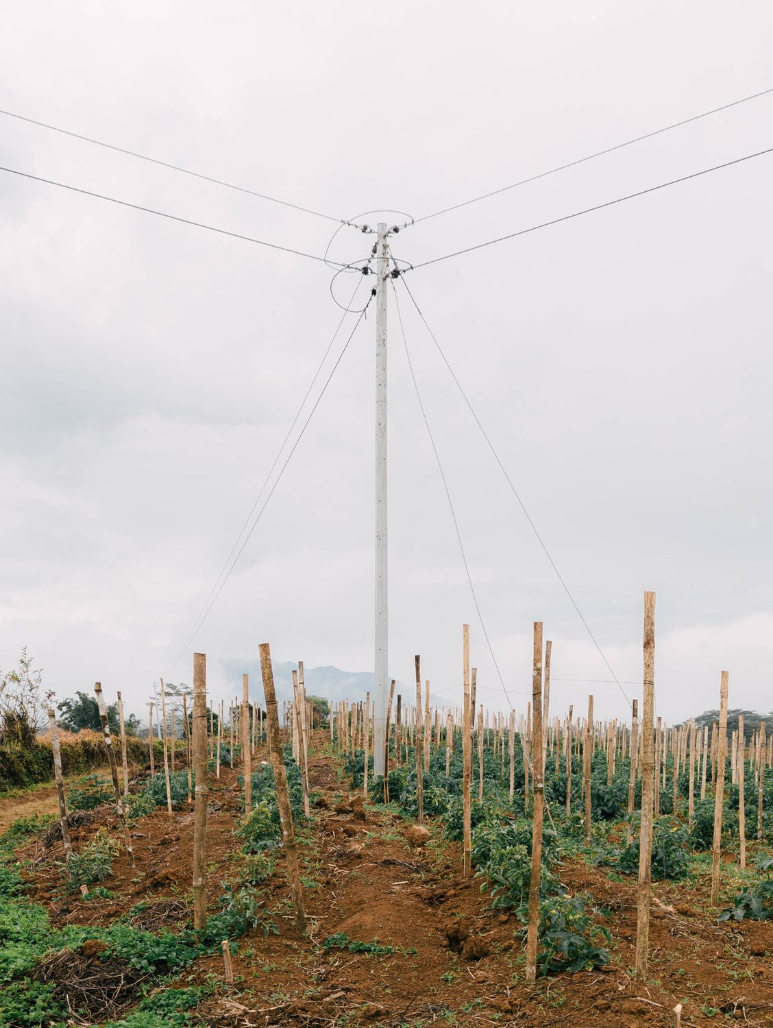 Utility Field Ground Utility Pole over Rural Field · Free Stock Photo