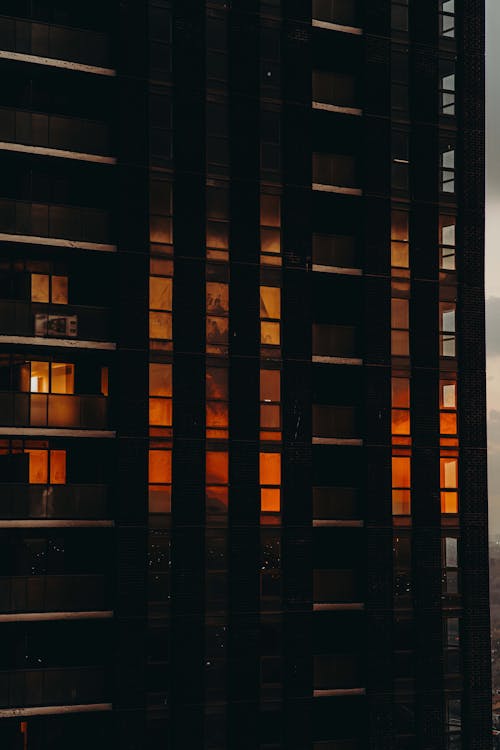 Fotobanka s bezplatnými fotkami na tému downtown toronto, filmový, kanadské husi