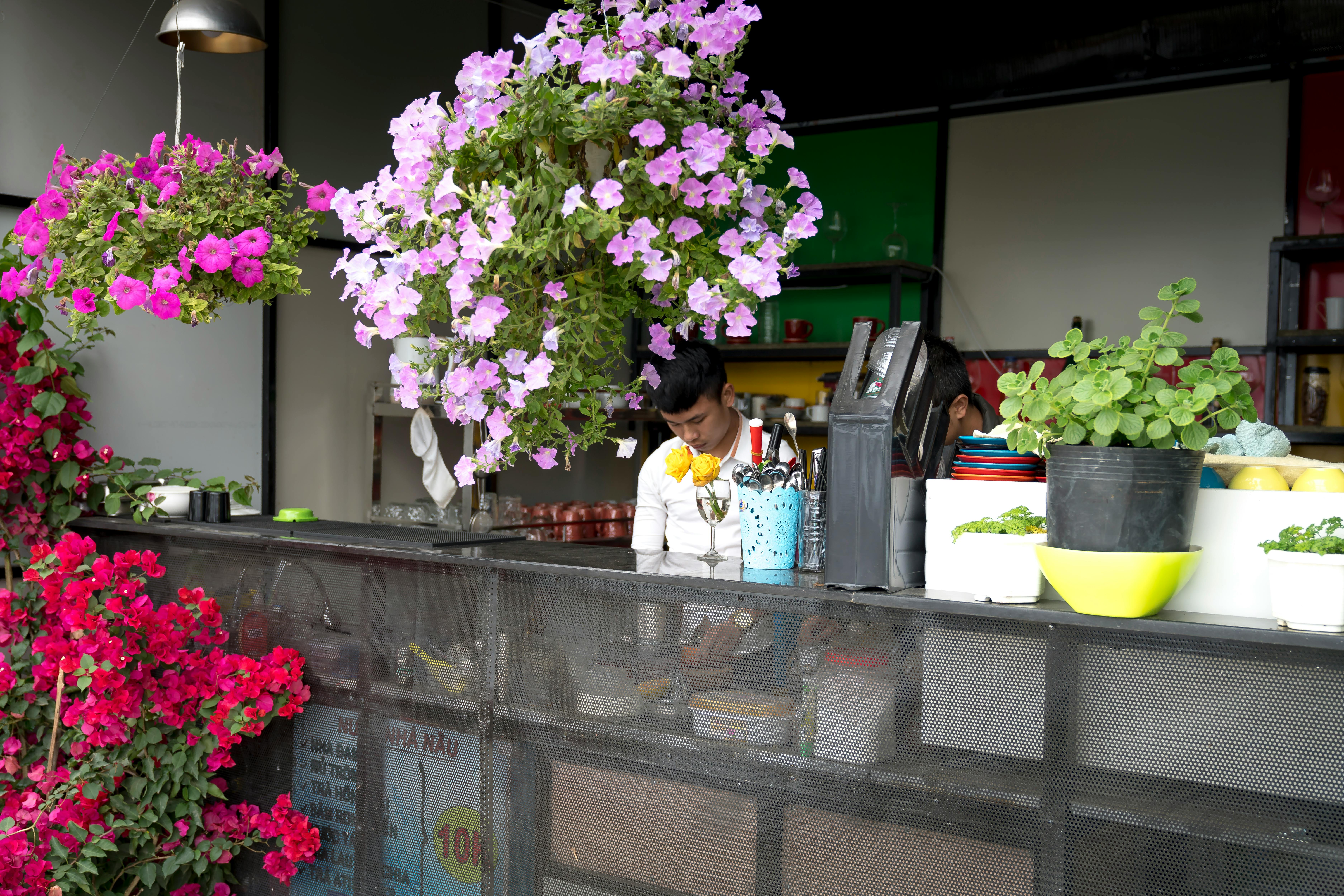 Restaurant Brands國際業績亮眼，Tim Hortons與海外市場成長強勁