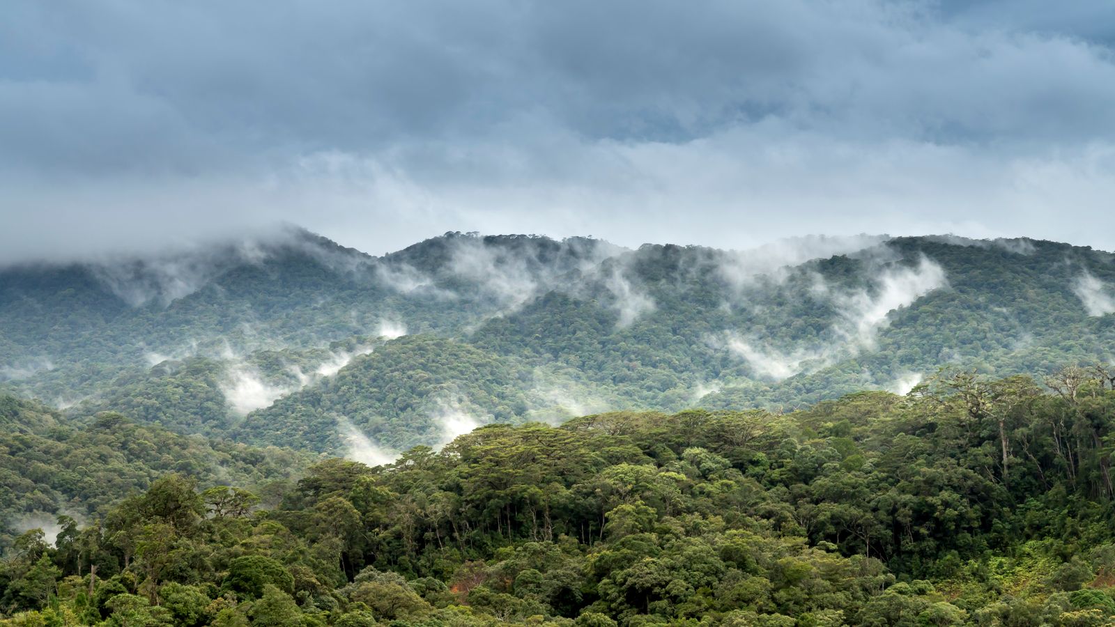 Mountain covered with trees under blue sky, Liberia