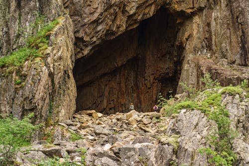 Ingyenes stockfotó barlang, fa, fels témában