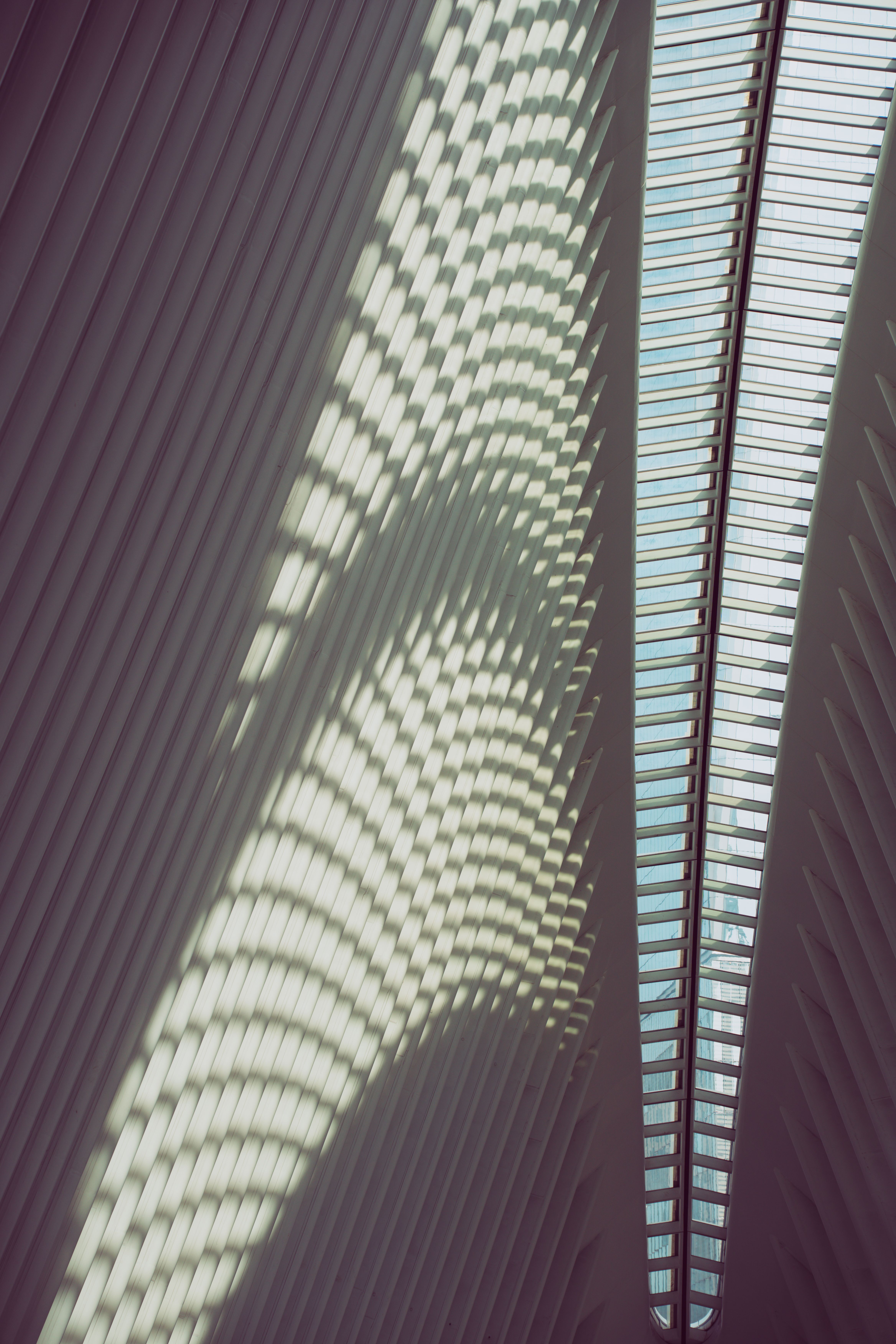 Modern Interior with Glass Ceiling · Free Stock Photo - High Ceiling Interior Design Using Glass Materials