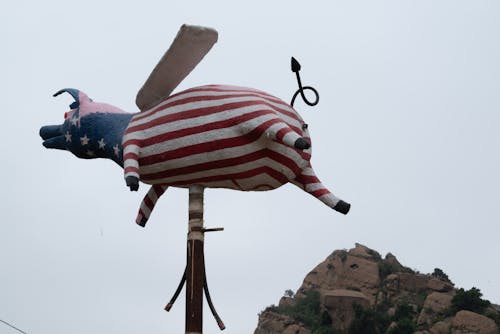Fotos de stock gratuitas de cerdo, cerdo volador, estatua