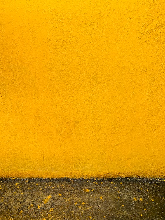 Photo of Mustard Yellow Wall