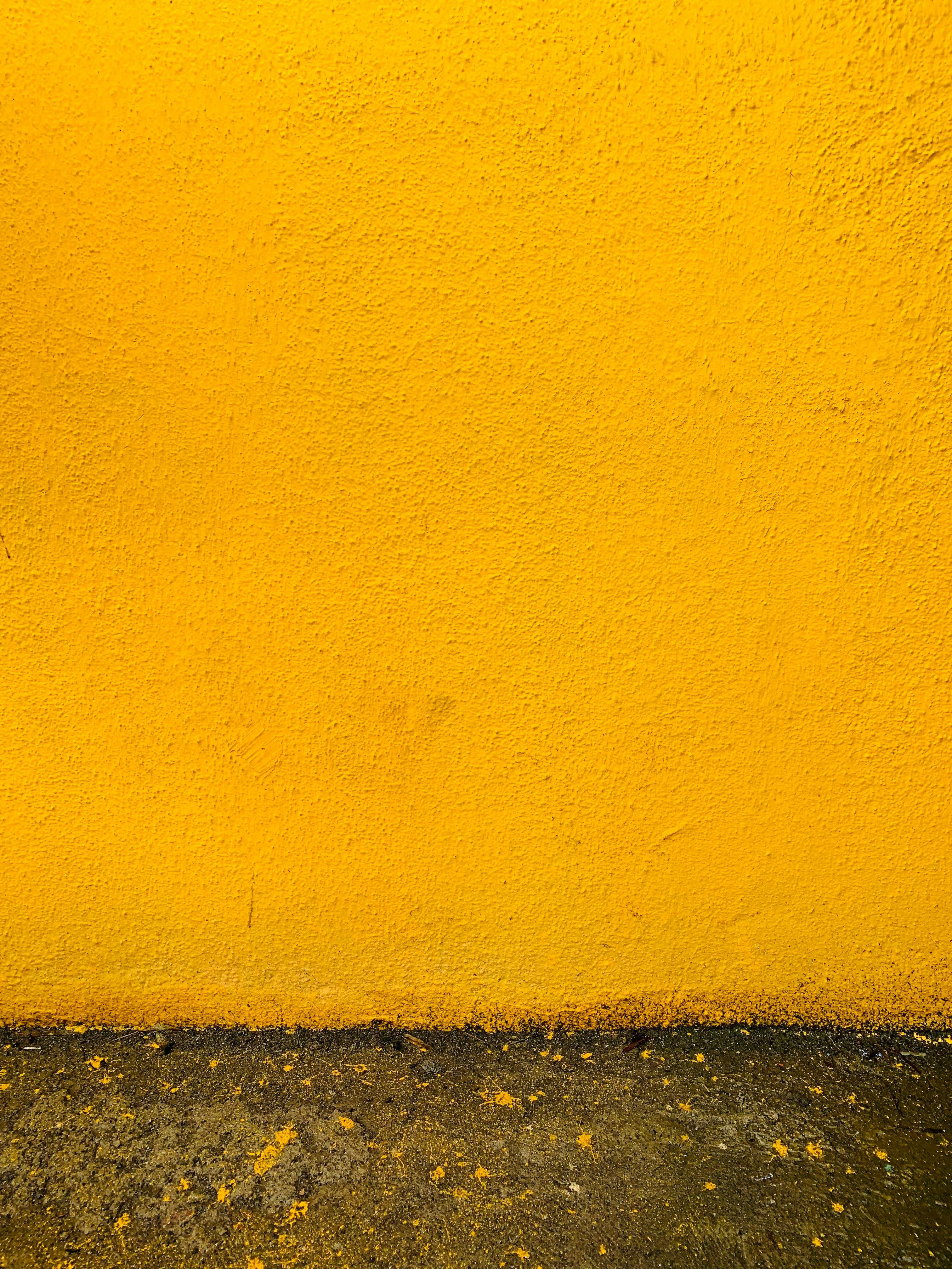 Yellow Texture Photos, Download The BEST Free Yellow Texture Stock Photos &  HD Images