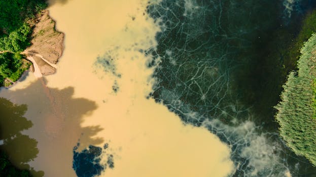 Aerial photograph showcasing diverse water colors and patterns in a lake surrounded by green foliage.