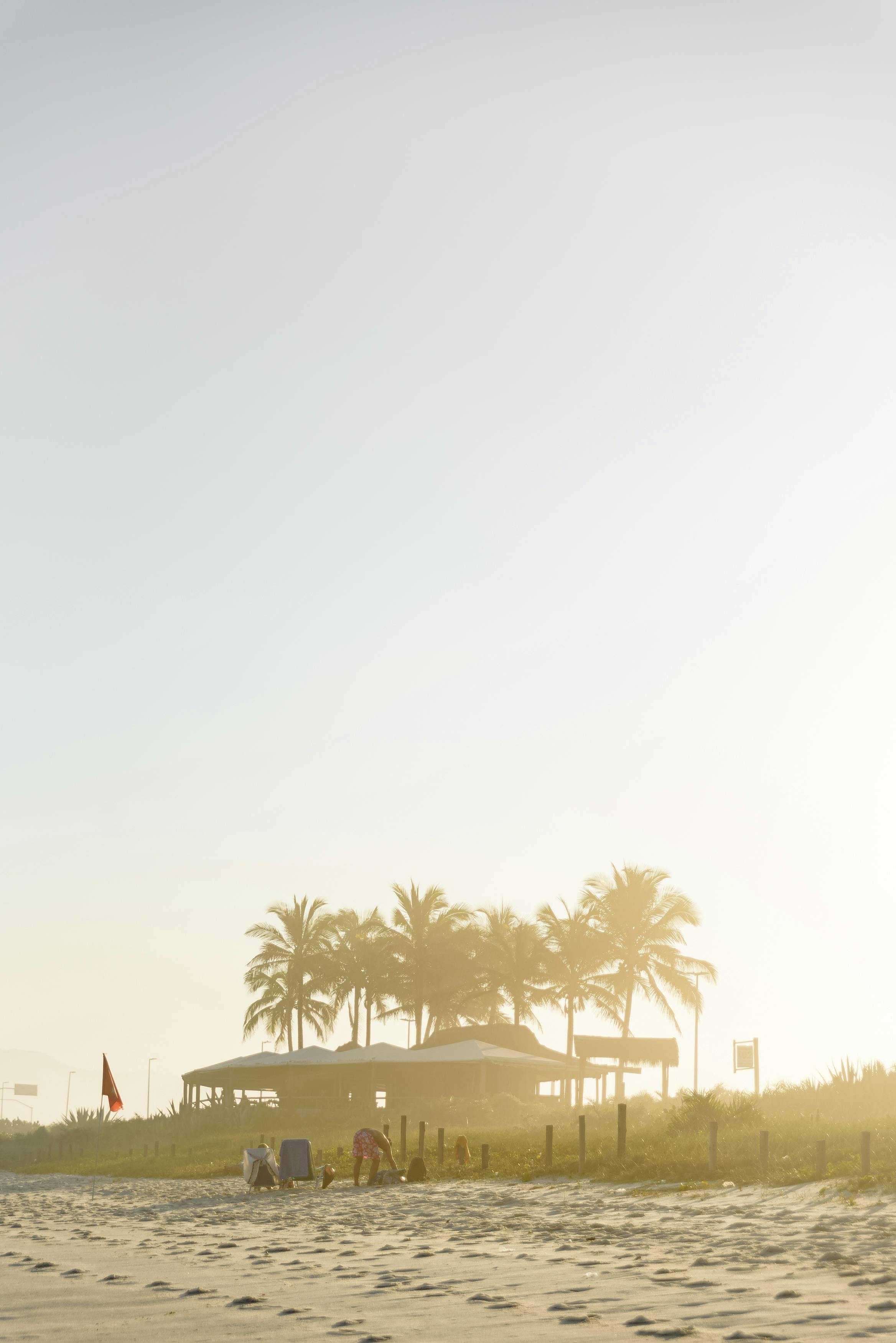 Peaceful beach scene at sunset with palm trees, Rio de Janeiro.