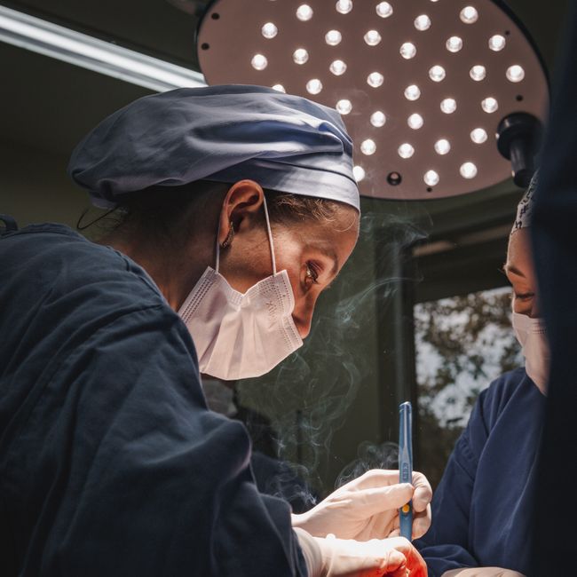 Asian doctor consulting