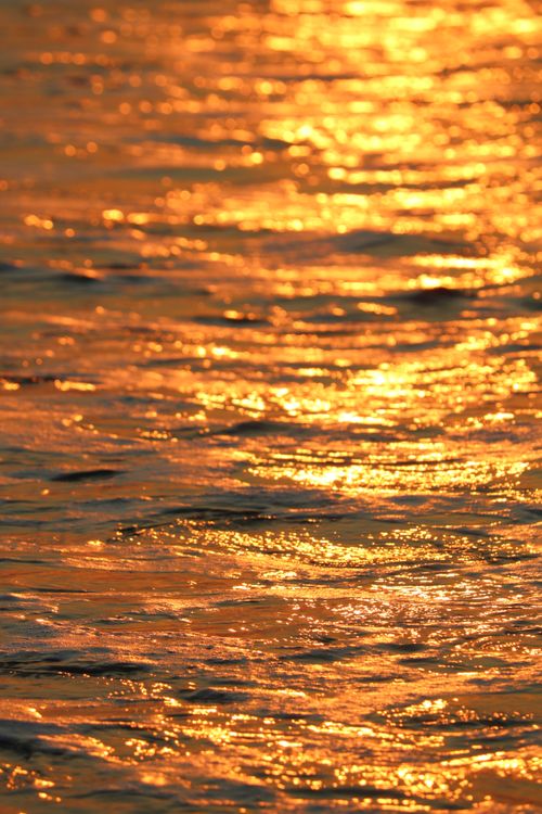 Free Beautiful golden reflections on ocean water at sunset with a warm light and serene atmosphere. Stock Photo