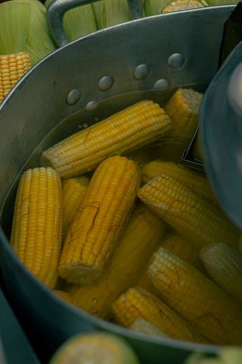 Free stock photo of bairro da liberdade, corn cob, food truck