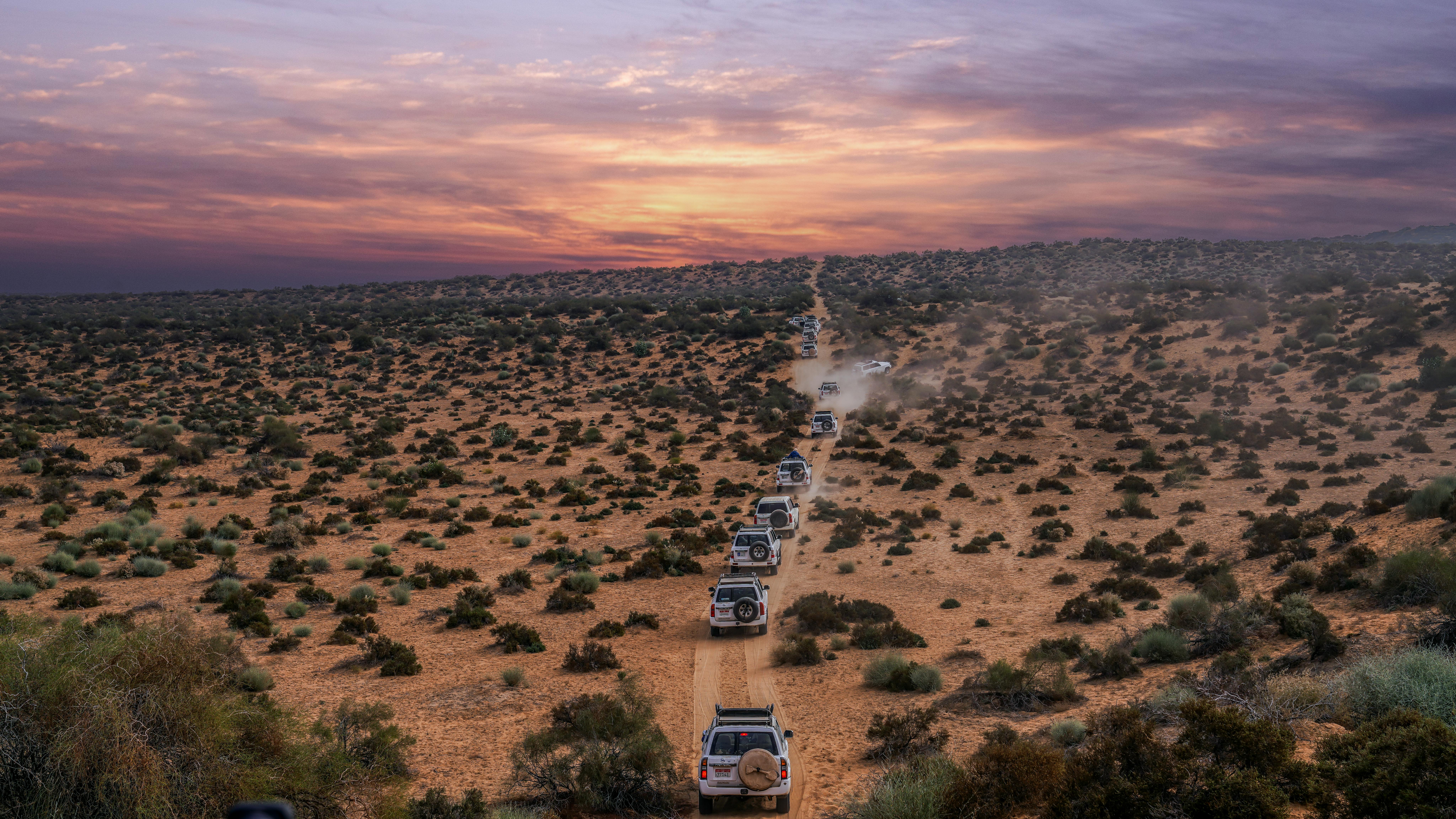 Column of Off-road Vehicles on a Desert Road from a Birds Eye View