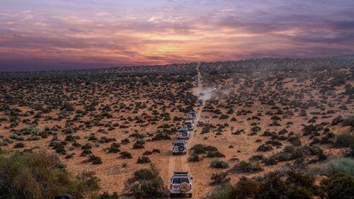 Free A convoy of vehicles travels through a vast desert landscape under a stunning sunset. Stock Photo