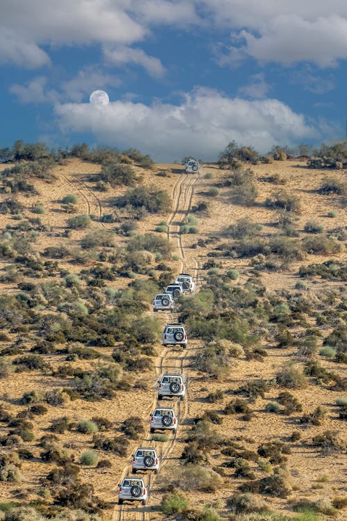 Deserto De Caça