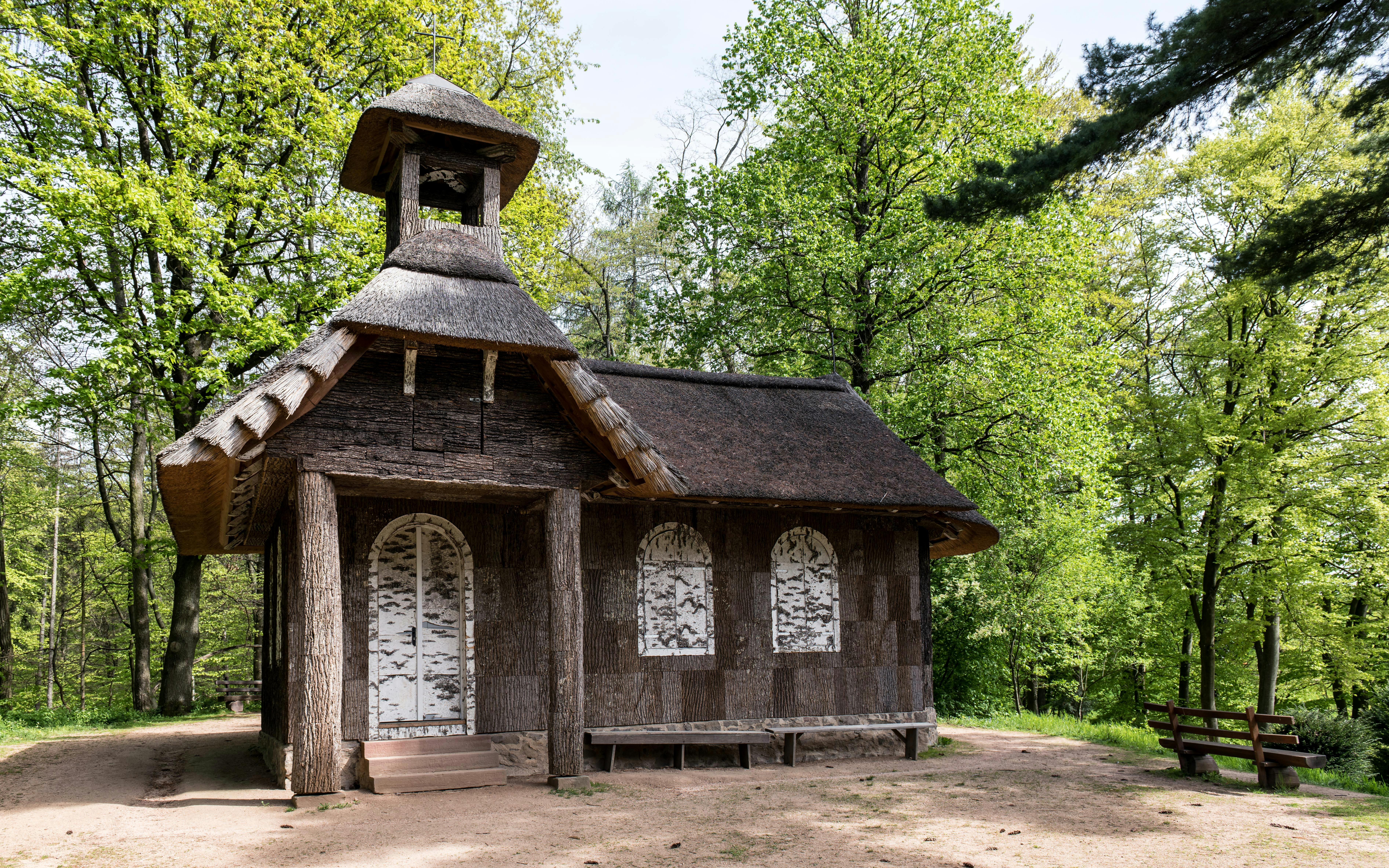 A rustic thatched roof structure set in a lush green forest, ideal for nature enthusiasts.