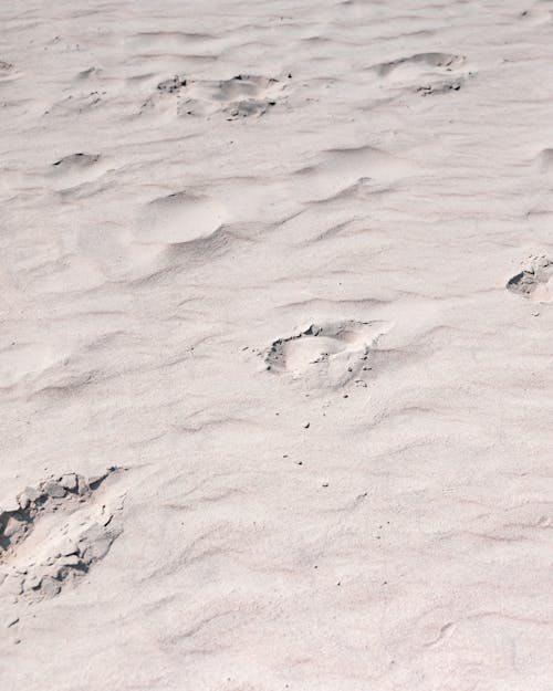 Gratis stockfoto met aan het strand, beige, op het strand