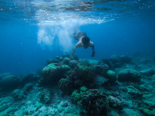 Gratis Foto Seorang Pria Berenang Di Bawah Air Foto Stok