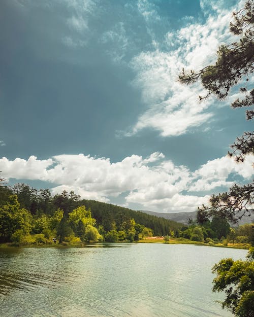 Kostenloses Stock Foto zu bergwald, blick auf die berge, cloud scape