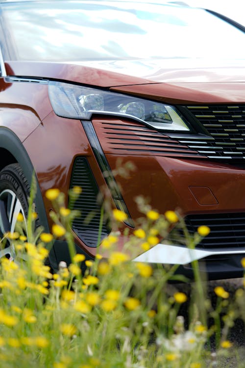 Δωρεάν στοκ φωτογραφιών με chrome, peugeot, vintage