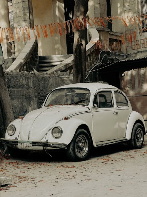 Základová fotografie zdarma na téma automobilový, bílý vůz, brouk