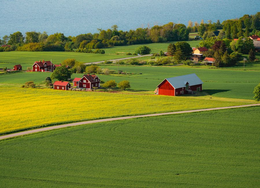 Beautiful view of Swedish countryside with red barns and lush green fields by the coast.