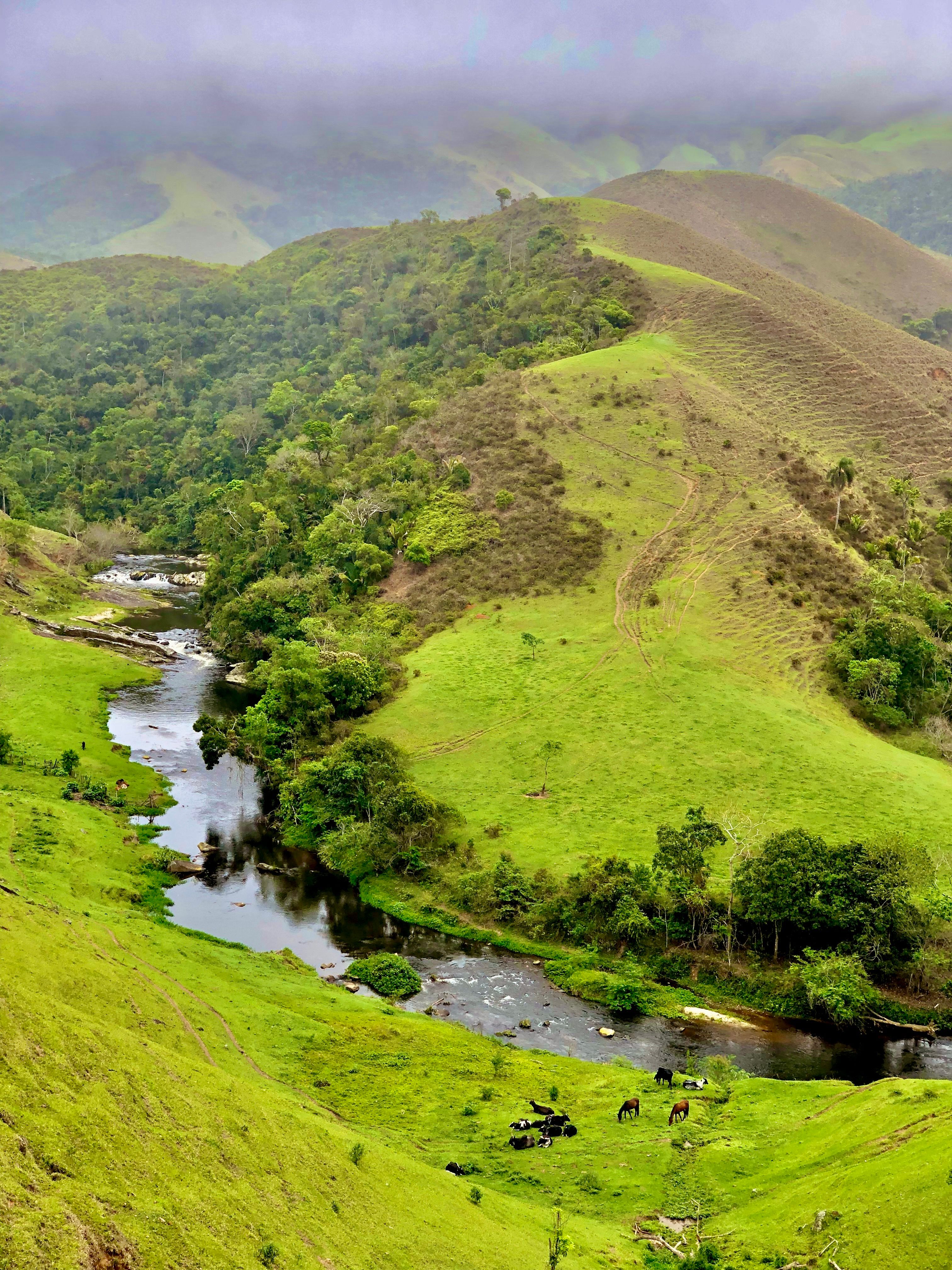 River Going Through the Rural Landscape · Free Stock Photo