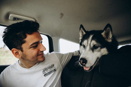 A man and his husky dog in the back seat of a car