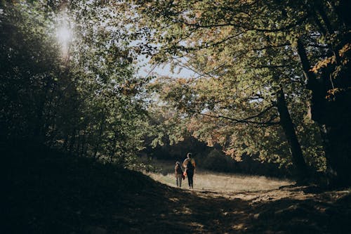 Two people walking down a path in the woods