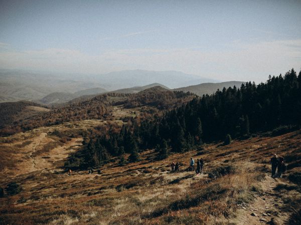 Hikers on a scenic forest trail in autumn