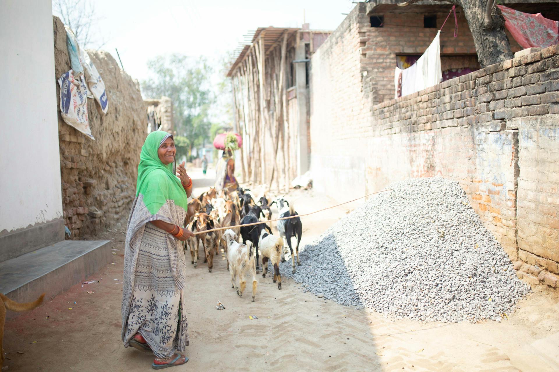 Woman Driving a Herd of Goats with a Twig